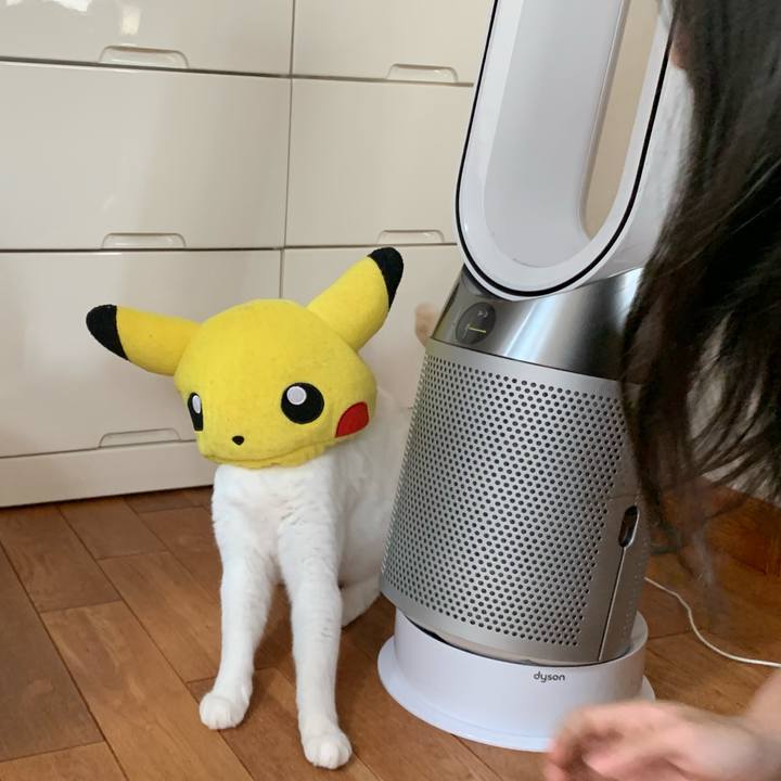 A05e875c f70d 48d2 9851 4e03b9d7dd60 1592719726768