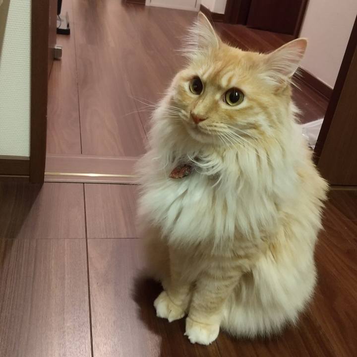 A05e904a 0ddc 49c4 8724 d99fa47b4d81 1652277390129