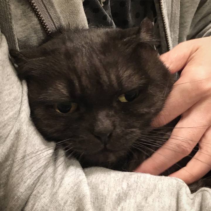 A05eaff1 9697 49e1 8ae6 4a18edd46d16 1571676044571