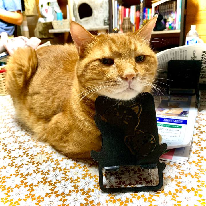 A05eb67b 212f 4a02 a0af 3c116e3f1ca0 1631837101090