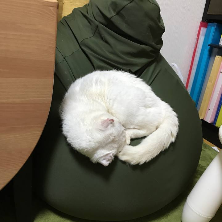 A05ed279 7b7e 4857 8f2b 183b84c7ea0e 1517744885691