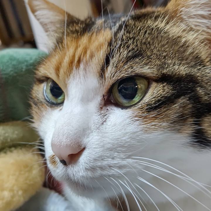 A05f186d 17c2 4591 8851 545d31148ca6 1606004495906