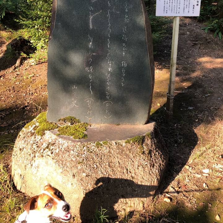 A05f33b8 2f96 4cc0 a155 6cd2265e7376 1568368953128