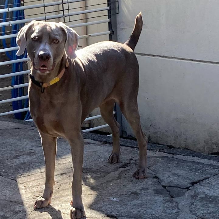 A05f8a24 71e7 427f 9d94 17a41345f049 1646898787794