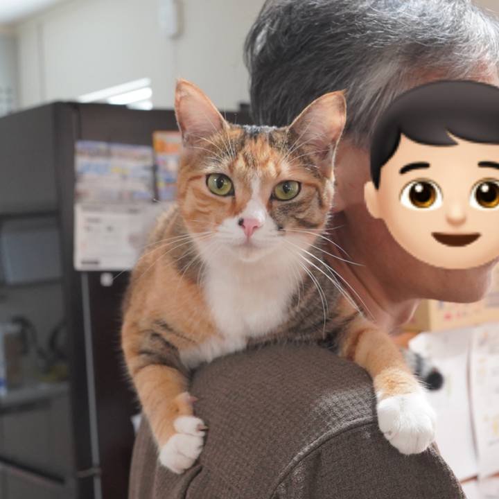 A05ffde4 5f37 4330 a779 ae35efe0caf7 1601389773997