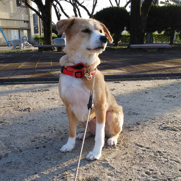 A06007f6 919d 4847 98bd 72630424a5e1 1520844492241