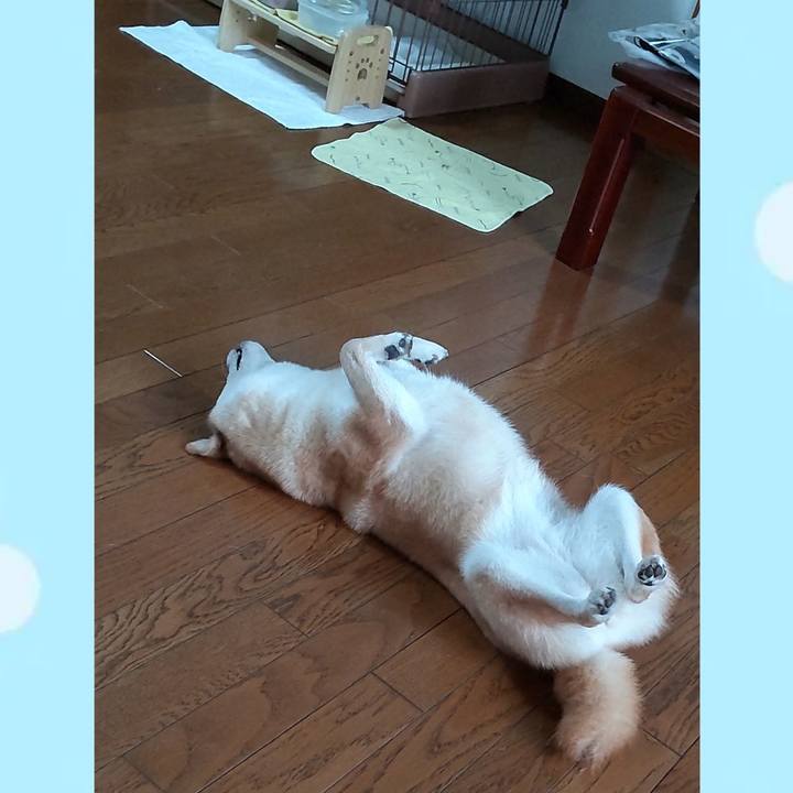 A06055b2 618e 4a1e b826 1372c5d0e700 1754523532844