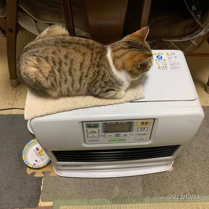 A0605710 9873 4c4d bace 9b87320772e8 1671884287900