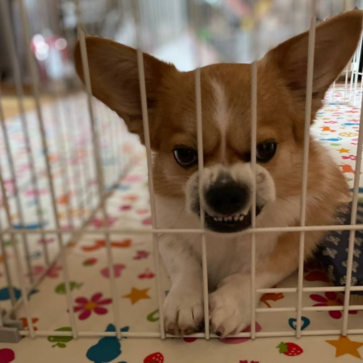 A0605f16 2abd 4597 90ff cb87142294f4 1624773413487