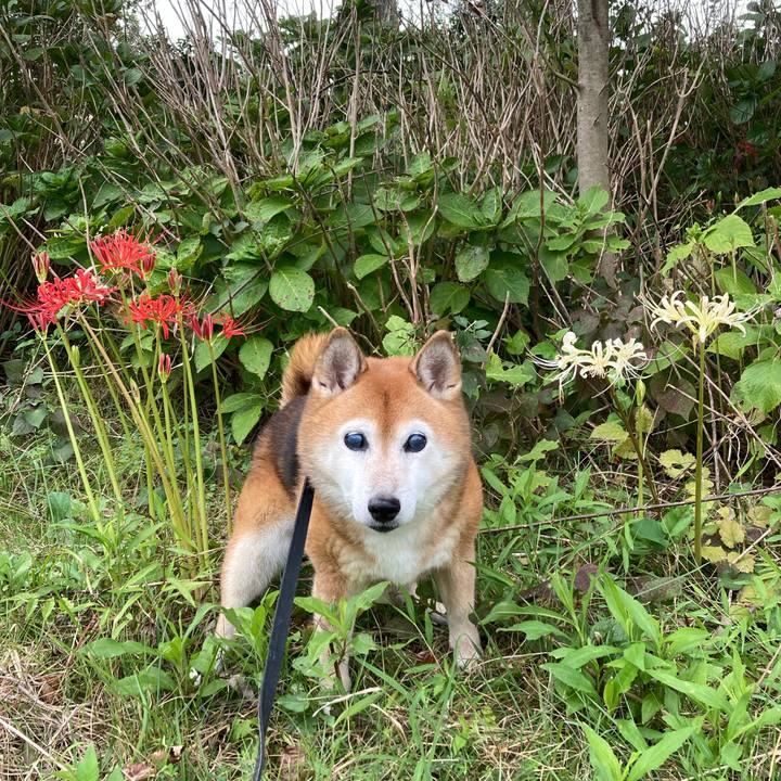 A0609325 ea5d 4a5f bea2 f43041220579 1727153800102