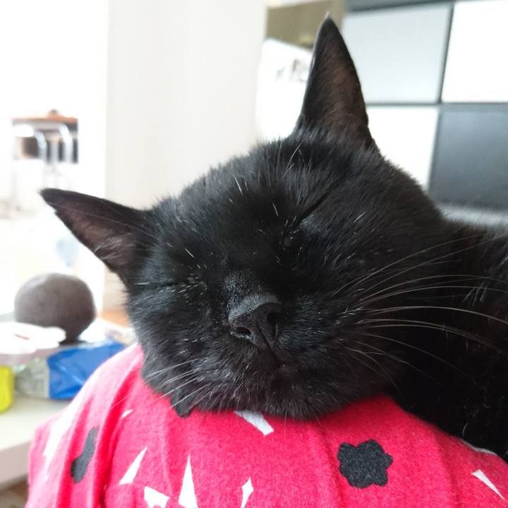 A0609510 79fa 4889 aa7a 8c64664a51b0 1534405309766