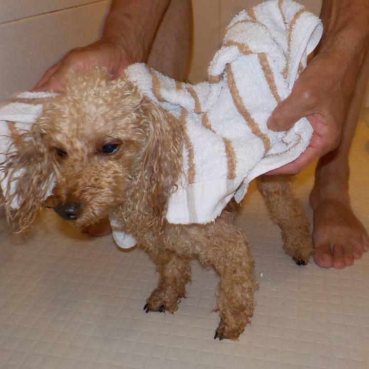 A060a526 5493 46b6 b937 5641a775418f 1626604264420