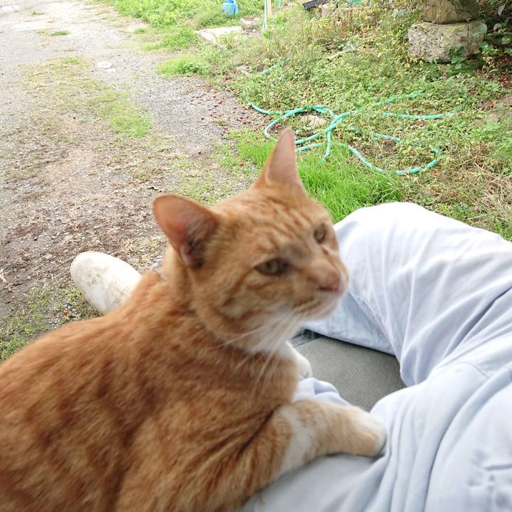 A060c114 82e5 45ef 871e e008125f33ea 1571545010563