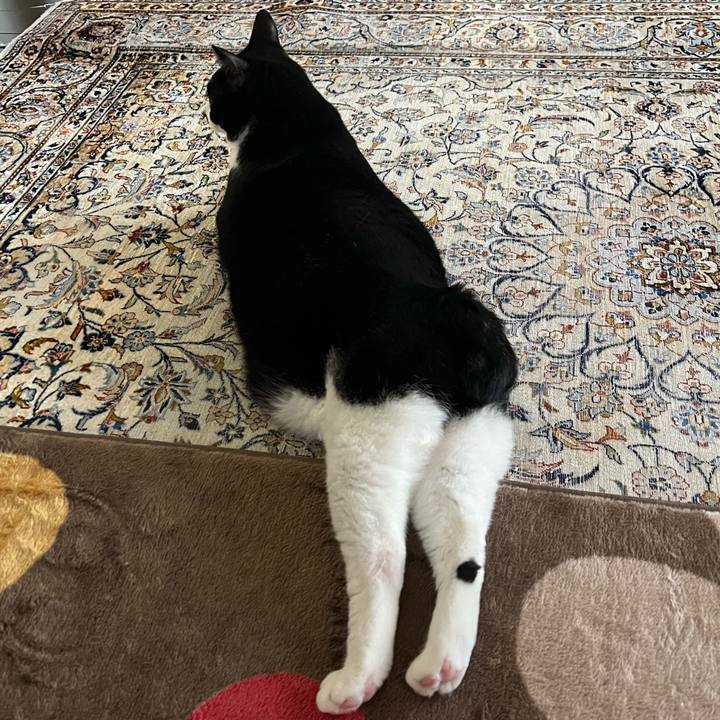 A060e113 4e1c 4d12 8feb 236a1dc59f19 1789941396072