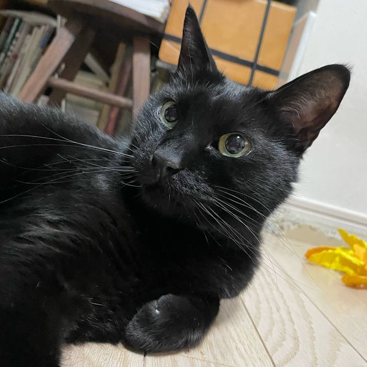 A060e8df 496e 42df b6c7 738cc79aa817 1711974180187