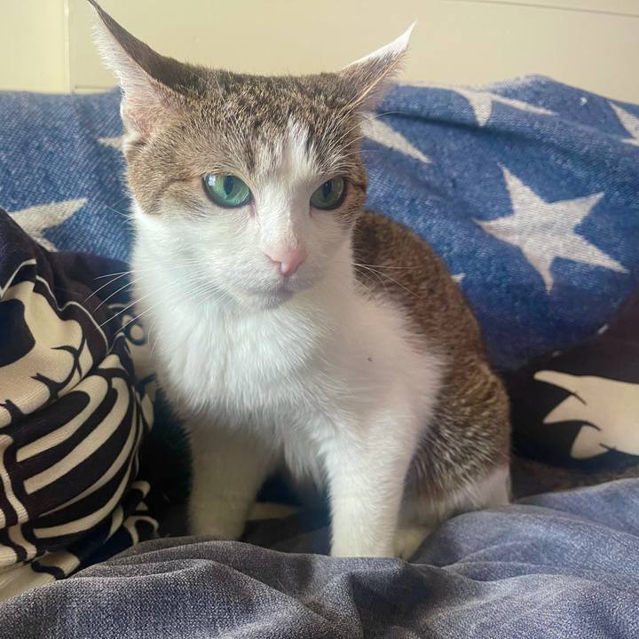 A061002c 946f 44f9 8c4a 5669b930a9c4 1627258615304