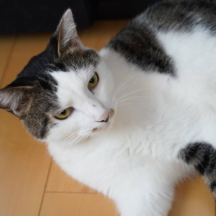 A061212a b453 42a8 9241 396ec2fa8ef0 1566948533745