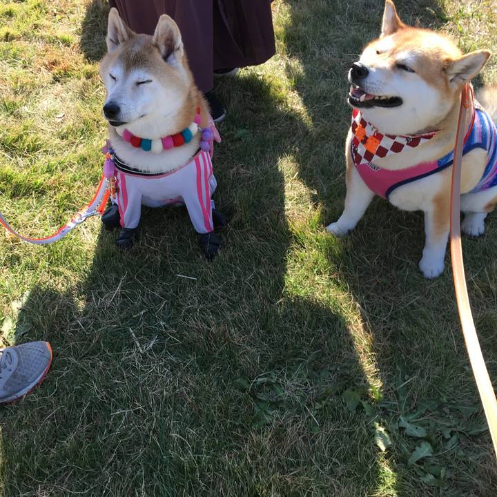 A0614ef9 265d 41c5 8eee 1618a34642de 1573917192650