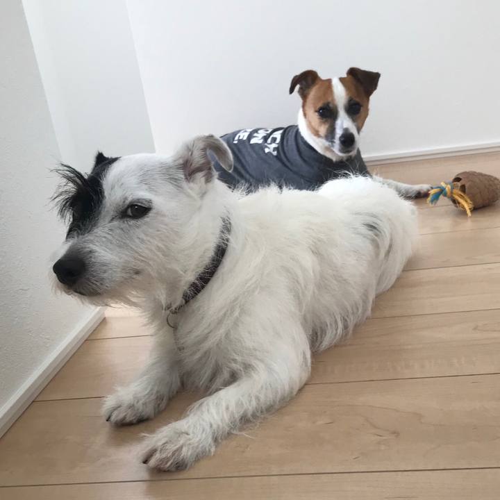 A061541d 812b 4380 9945 490fa0bfd520 1534819911835