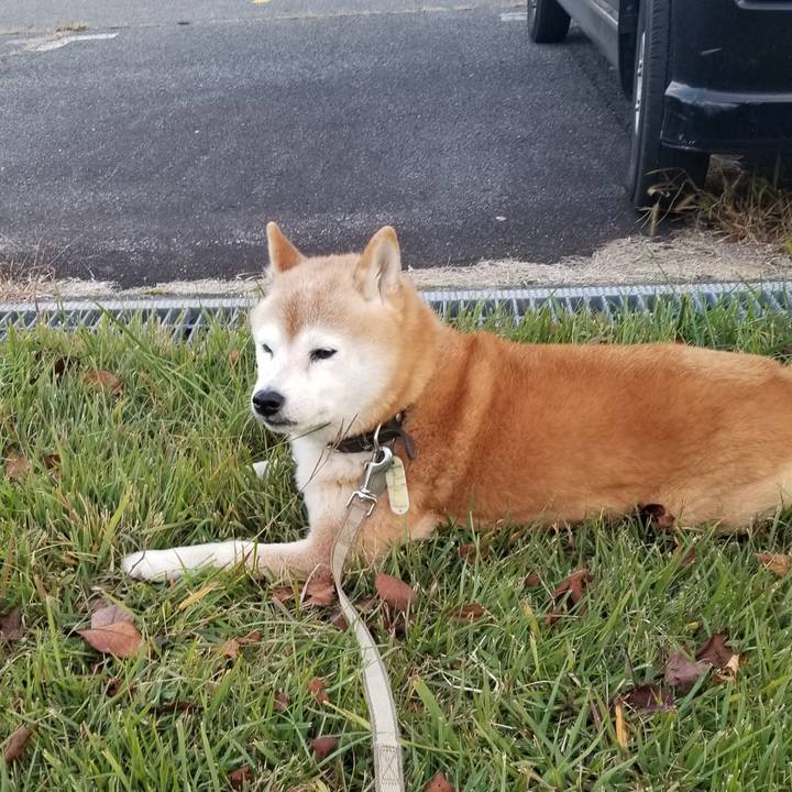 A0615640 7452 42b2 b72a f27474290d02 1698219010205