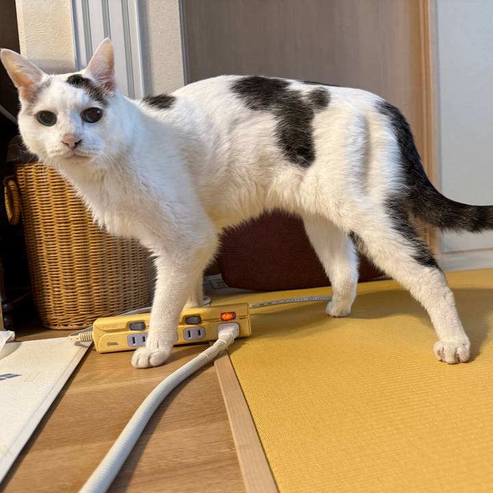 A0618558 f83f 48d5 b664 d77d6309a7c8 1761269330640