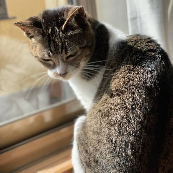 A061c69e beaa 4aa6 a4a7 84feb339d977 1616549631909