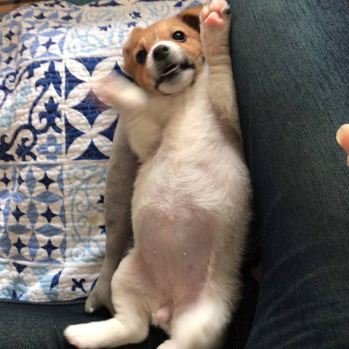 A061eaa1 7ed0 4a6b a5a4 2f419fe01769 1589529133364