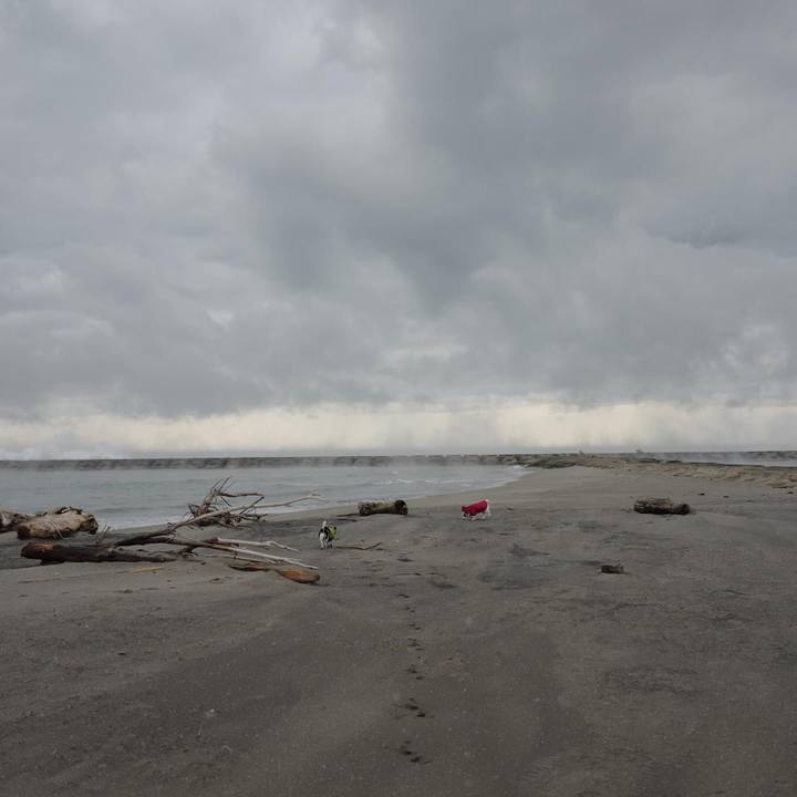 A062194d 01b5 4476 99ff 4450fb3b9a4d 1512193416594