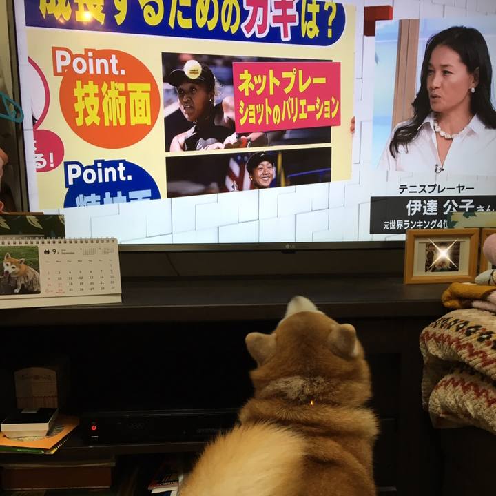 A06264dd 73f1 4cb9 b075 2e9ad8ab0e79 1536759198924