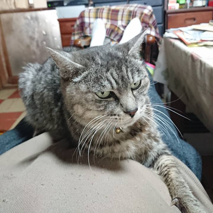 A0629e5d 2371 4d52 bd35 79be5f7f7665 1575175333426