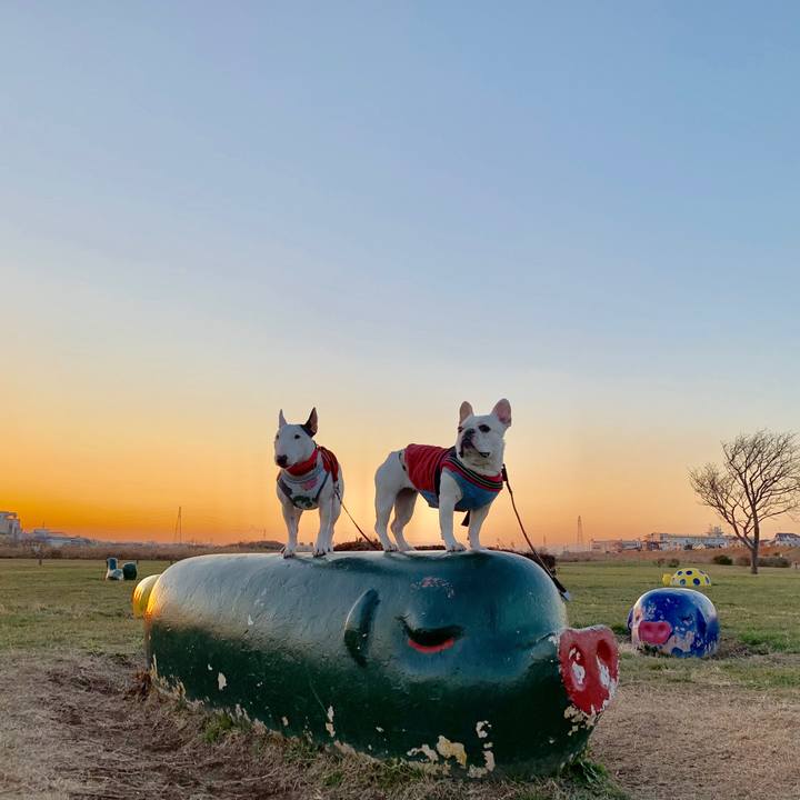 A062a6d1 e9ff 49d8 a9b1 d2698986d16b 1547216634763