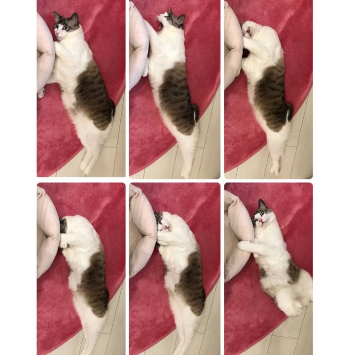 A062d7da ef63 4c4e 8d91 5fbe5d13ad90 1550756541972