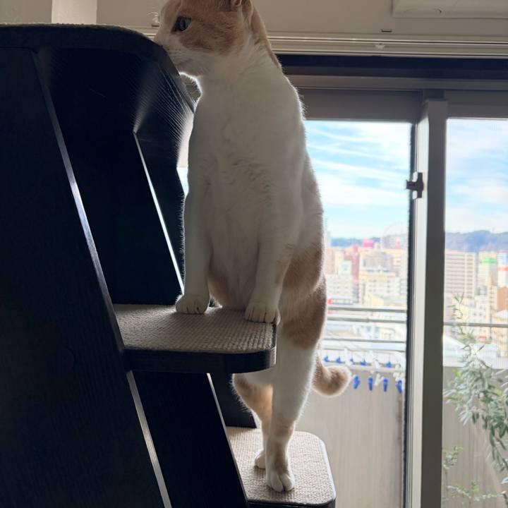 A062f736 4548 4fe7 ba10 2ee5b4884b48 1767066472382