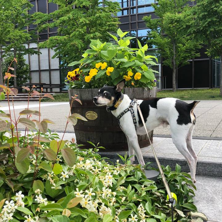 A063213e 6bb7 44bd ad04 1d3801884c67 1525565784969