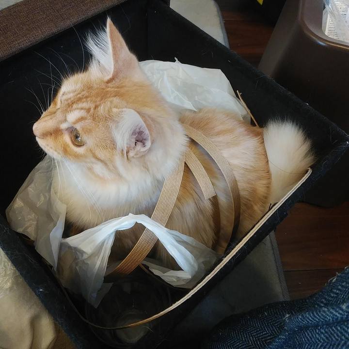 A06339de 8e62 45bc 927e 822191b73f2d 1619358223297