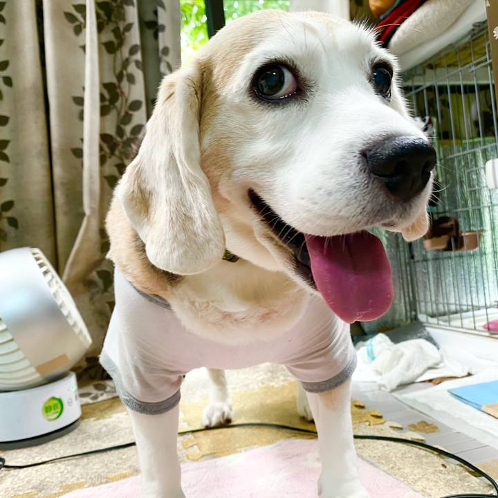 A06346cd ce83 4d87 90c8 9ee4b2a5ce7c 1655437085927