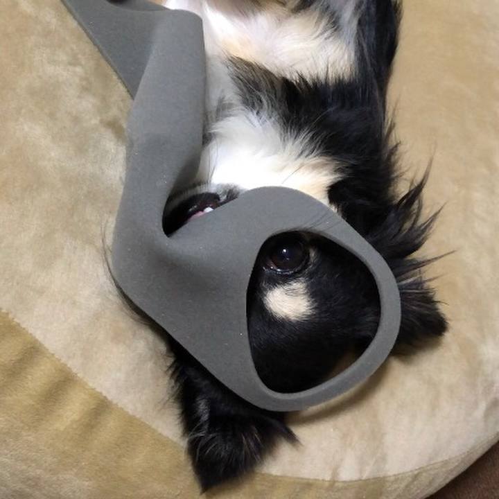 A06347c8 914f 4a95 af93 c1979607edbe 1596616683915