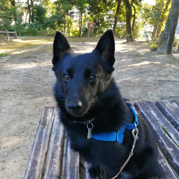 A0636cde 6ba0 456e a6f5 d158d8381f2c 1604100792566