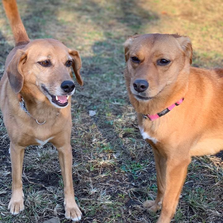 A063c851 48f2 437f a8ce 4ccc469bbcfa 1573554161056