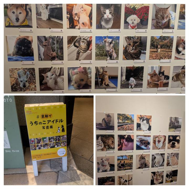 A063e6d5 dfcf 4afe 87b8 4bee19684a60 1765969800739