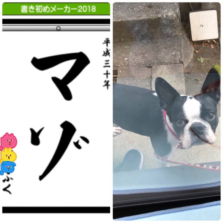 A06411f6 a955 44f2 b244 01d5ded57d71 1515048186822