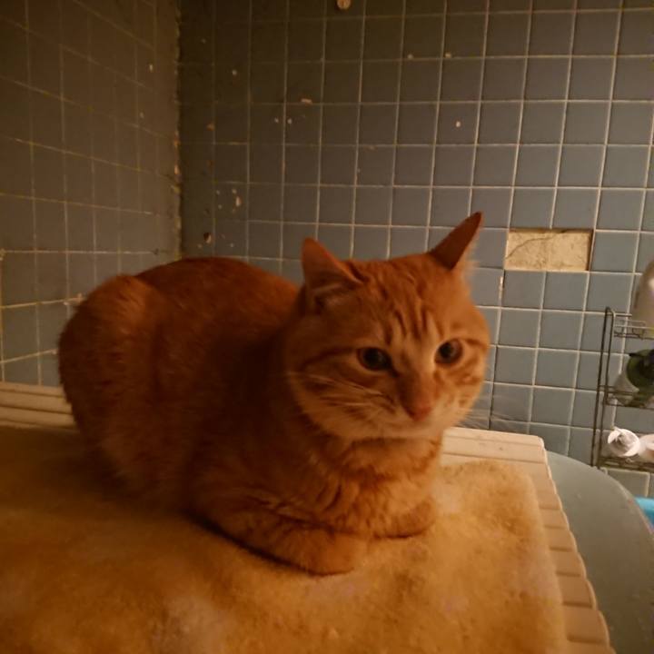 A06454f5 70ef 4e7f 9582 0c9dc55133dc 1645353336752