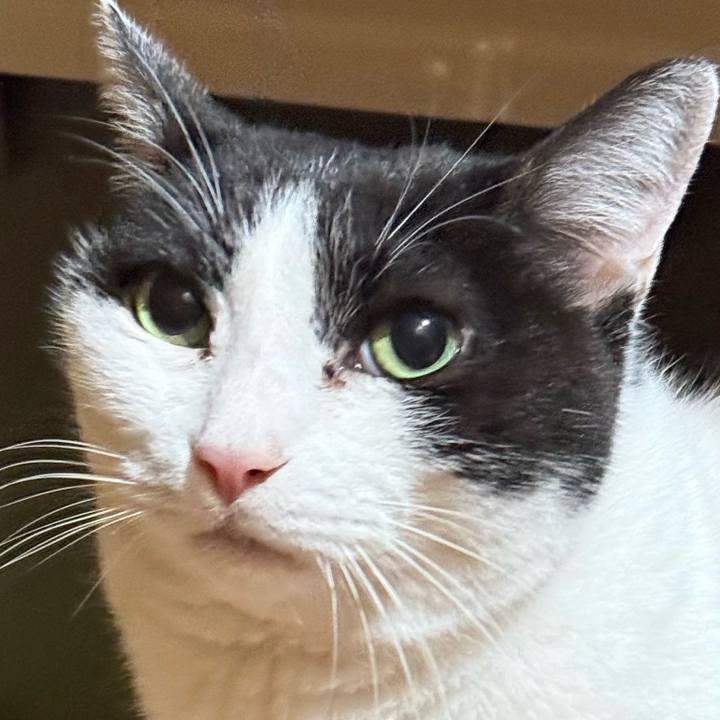 A0645cb0 8080 4d62 96ff 4a5e567b7c64 1766193061570