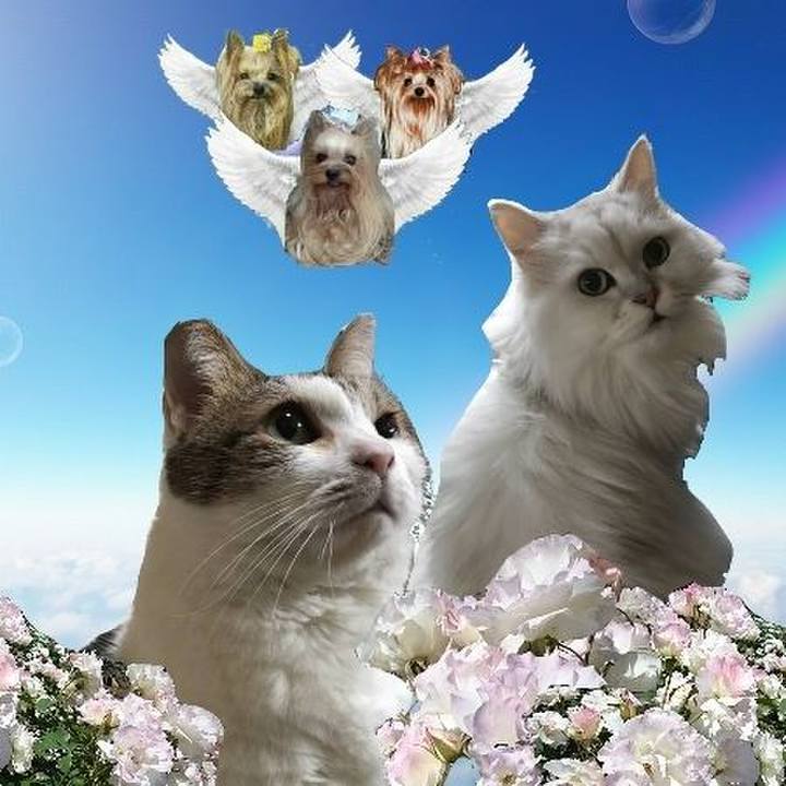 A06489b2 5c33 42b9 b283 e41c1da2f8c1 1640313881526