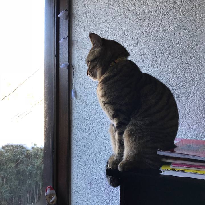 A0648be5 016f 4ecf 9edb fe74b31c3498 1516841451129