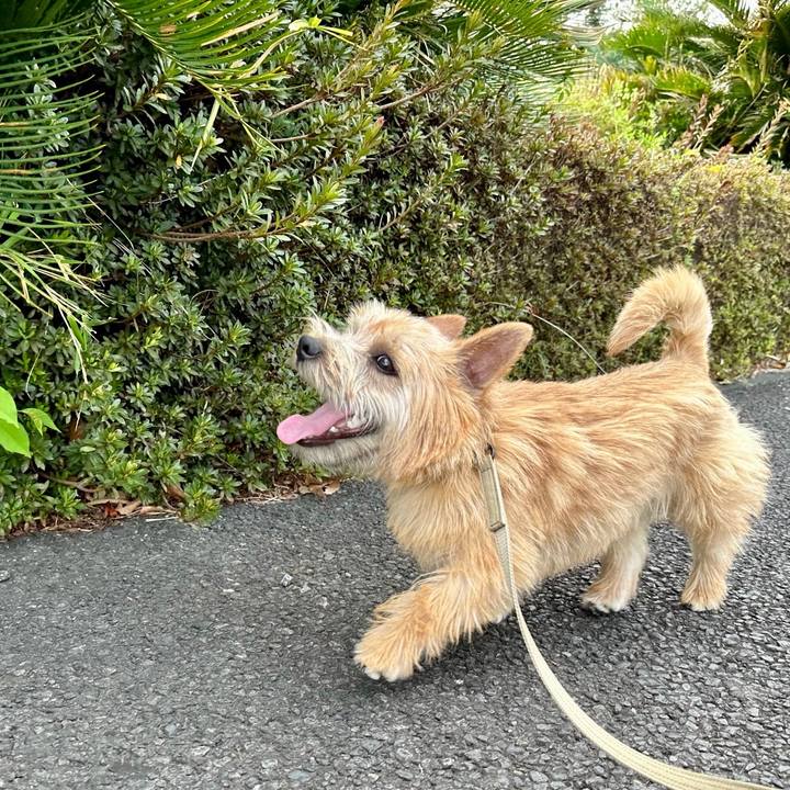 A064b03a 5d6f 4146 8610 2e850eb398e6 1713338351604