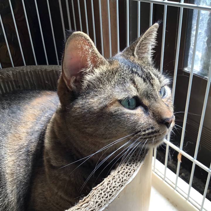 A064b587 316c 4325 b7e1 c973a4e29974 1757994850115