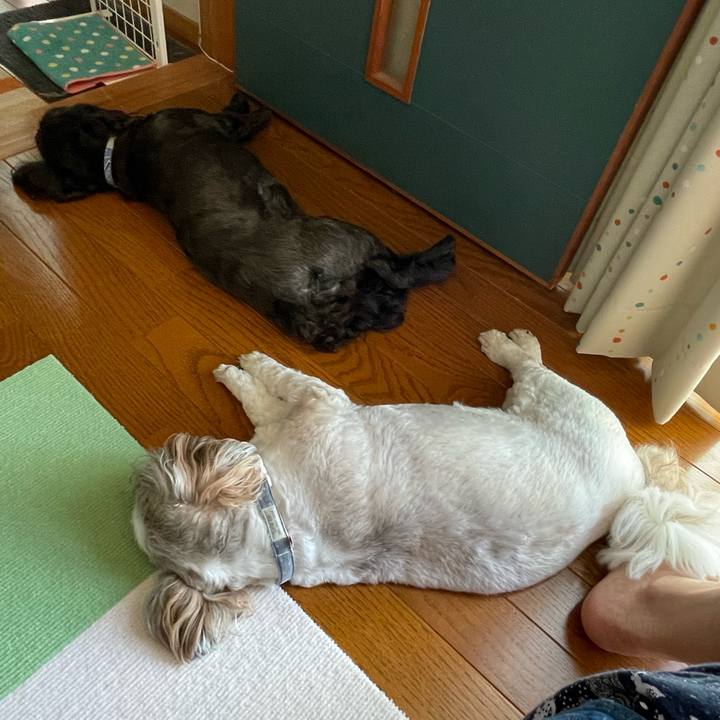 A064c2f1 d6ab 4c8a ba72 7ef81cd528ee 1697175710473