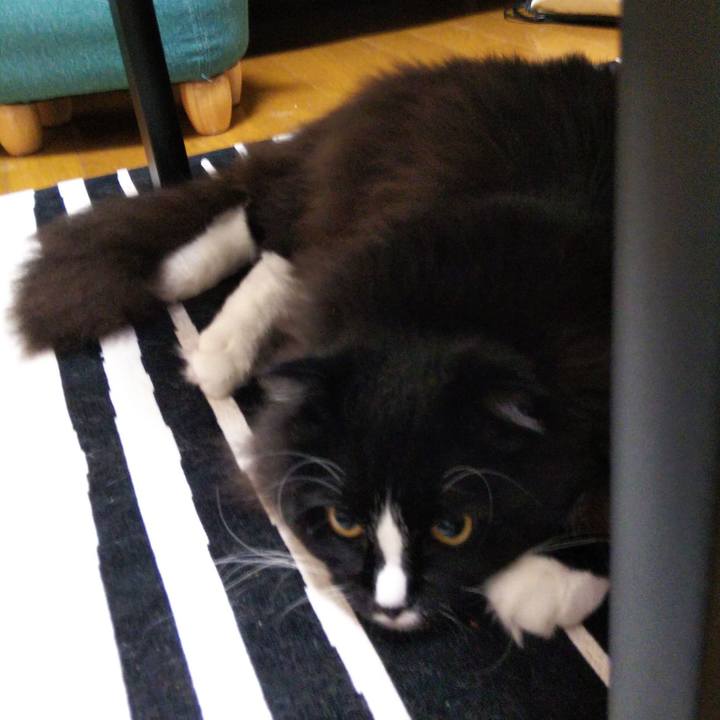 A064e3c7 5c81 46f1 bbf9 9105af596bdc 1658307466016