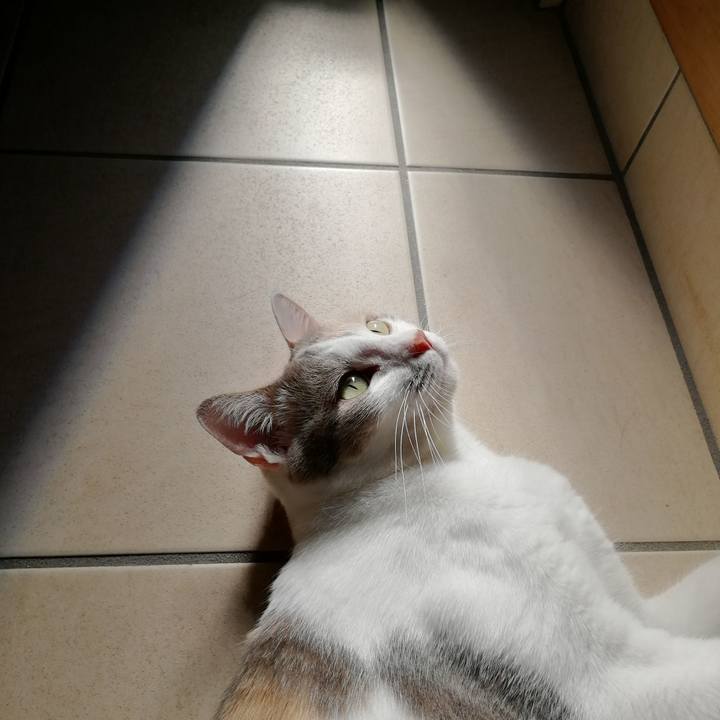 A064eeb4 7501 4058 bf1b ba1904a912fa 1565508689206